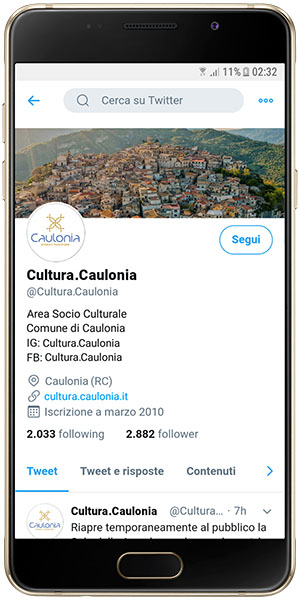 Caulonia_social_04